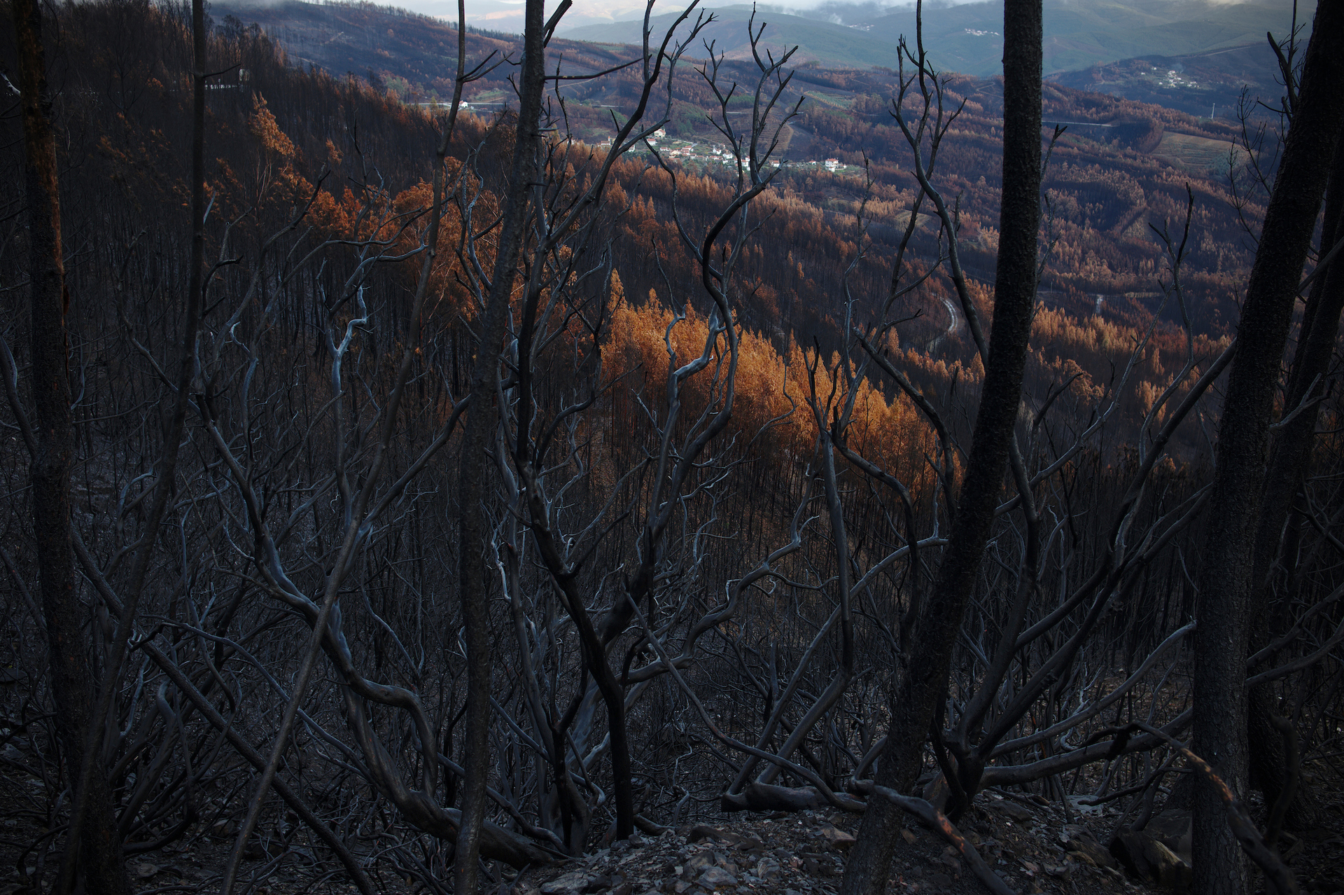 After The Fall…