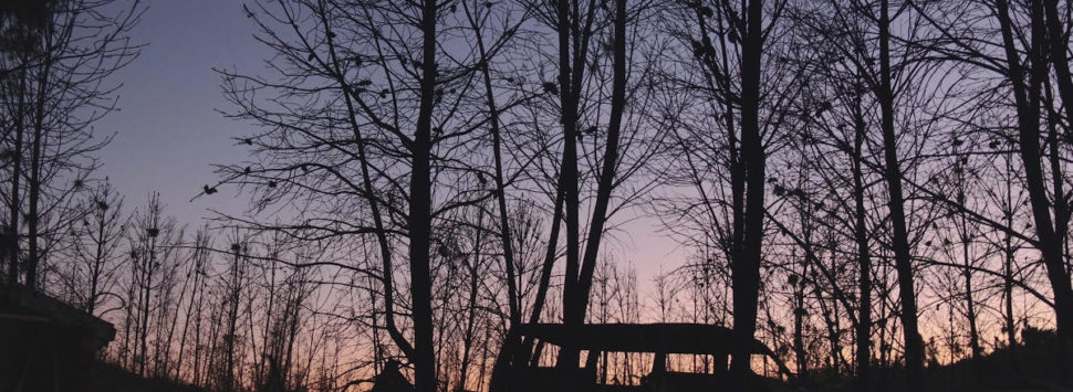 A fire doesn’t last for days, but years…