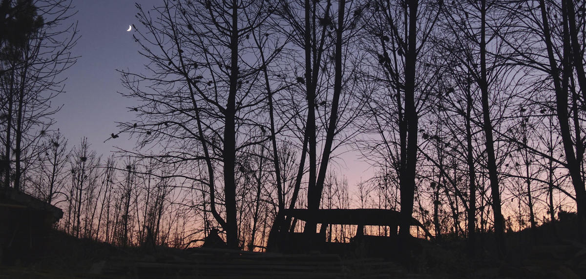 A fire doesn’t last for days, but years…